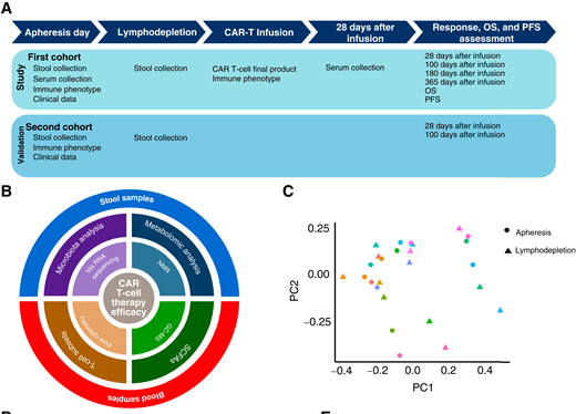 Blood Cancer Discovery (@BCD_AACR) — #IMS26 — conference slide