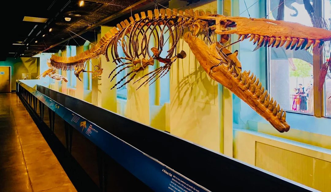 TM9380's tweet photo. This weekend is the final chance for folks to visit the Academy of Natural Sciences museum before its set closure date. Shame on @DrexelUniv for doing this. Science first, always! https://t.co/tu3XqylowU