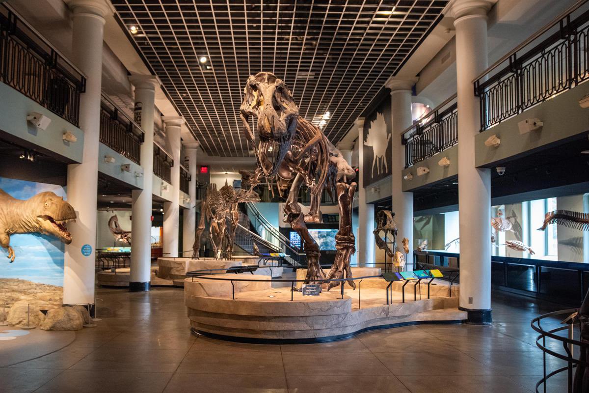 TM9380's tweet photo. This weekend is the final chance for folks to visit the Academy of Natural Sciences museum before its set closure date. Shame on @DrexelUniv for doing this. Science first, always! https://t.co/tu3XqylowU