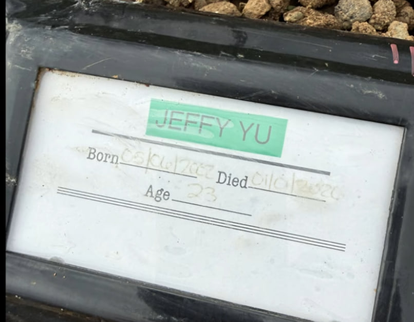 omedia_cheffy's tweet photo. Let's go Jeffy Yu, is time to destroy the world
solana:ydDccyq66xKtfqn5bsRpfFXz4WeF4fh3bgQBx1npump 
https://t.co/wc2jopqqN0 https://t.co/yTU234dGtJ