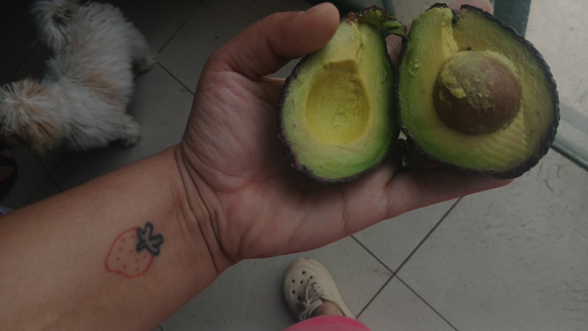 Strawtherry's tweet photo. Me da tanta risa mi tatuaje onda cada que como cualquier fruta o verdura automáticamente empieza a sonar el mosquito trompetero y me creo una frutinovela en la mente https://t.co/etXHw5U1UK