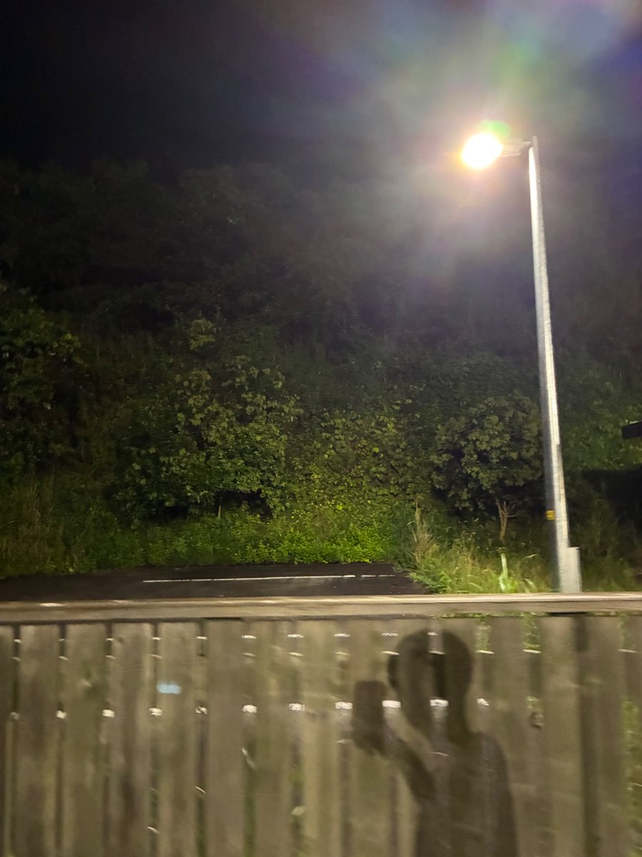 toto455023's tweet photo. こわ https://t.co/6Pzl3R1gn1