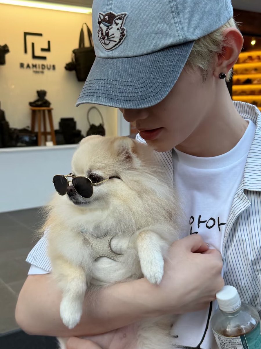 oohaobina's tweet photo. haobin and their love for dogs 🐶💗 https://t.co/VO81ZrsoLY
