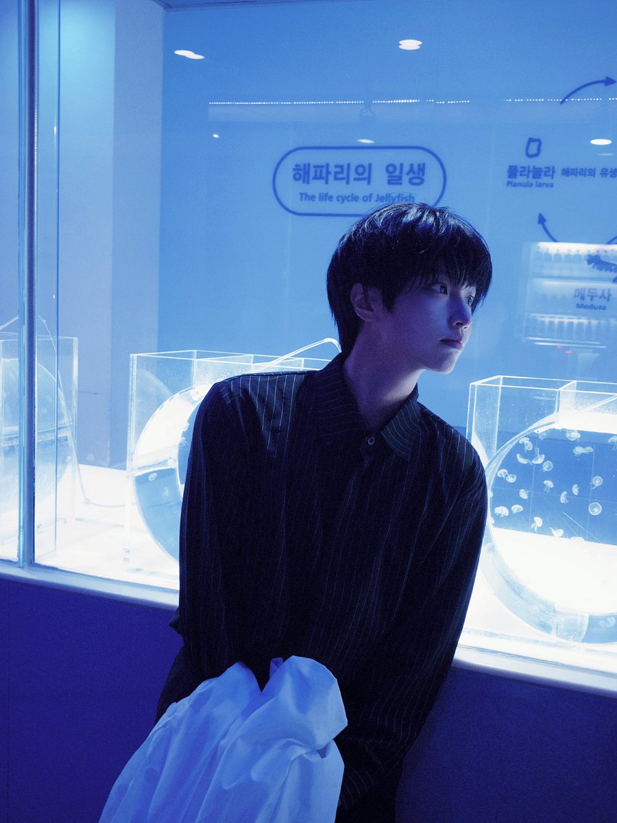 s2ow0_0's tweet photo. 어두운 바다의 등불이 되어 https://t.co/OkCDTkAE50