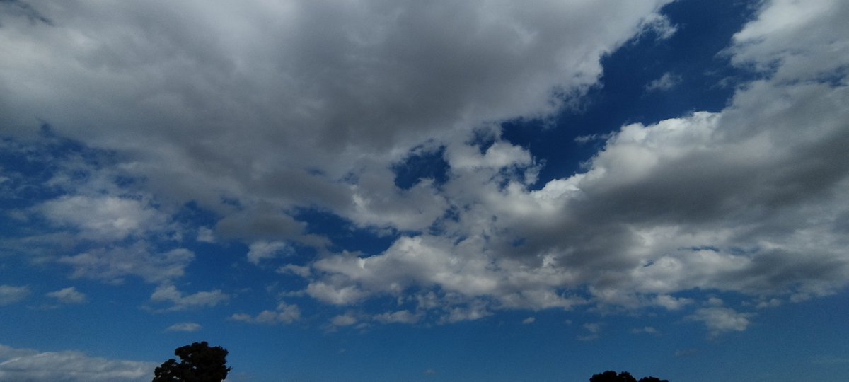 Pewshater's tweet photo. 🌫️ https://t.co/VMiuTE9Qzc