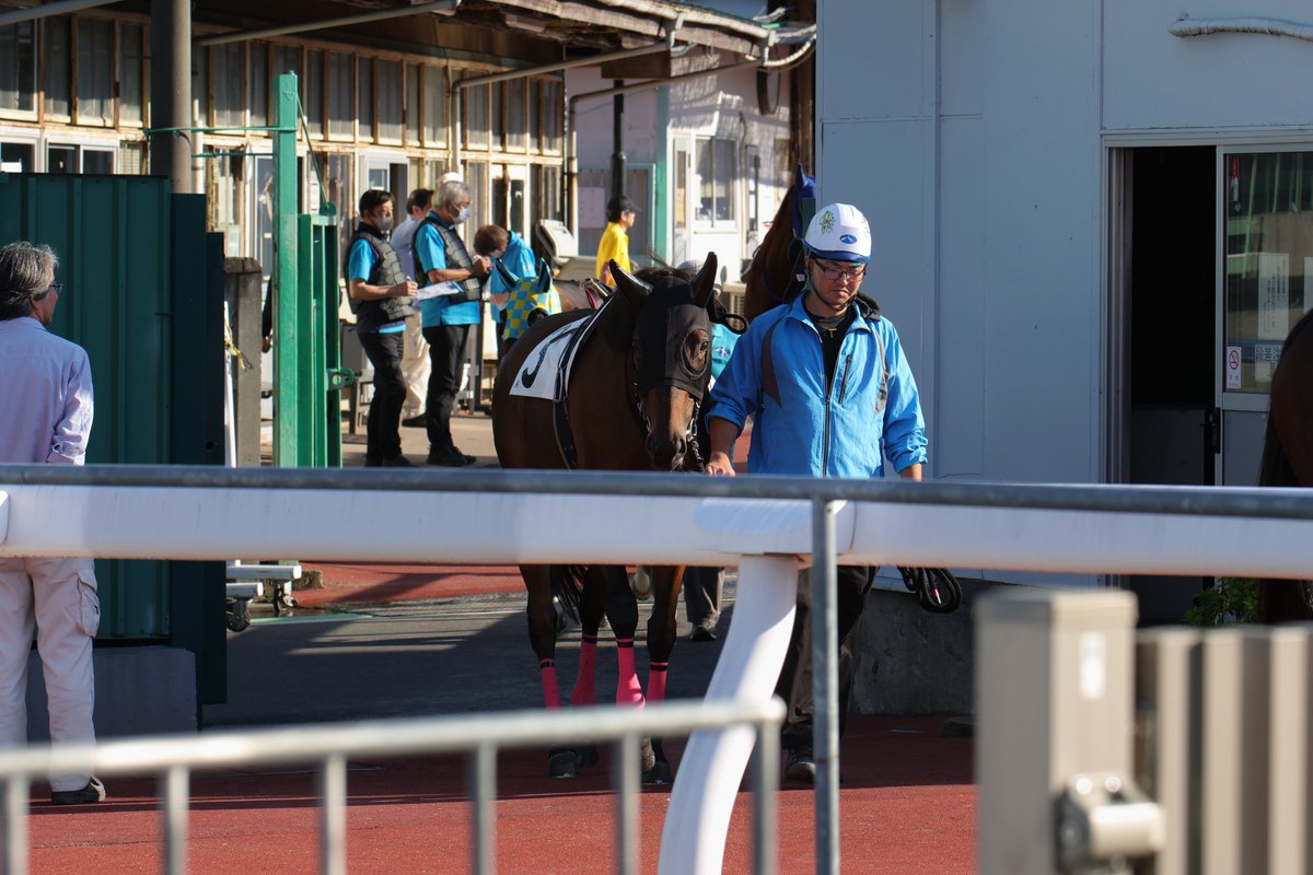 _k_www_'s tweet photo. 2026.09.24 浦和6R
#アマゴ♡
見越彬央騎手
箕輪武厩舎

アマゴちゃんかわいいねぇ〜〜〜🫰♡
今日もお疲れ様でした！🏇 https://t.co/IaS1N9aWAp