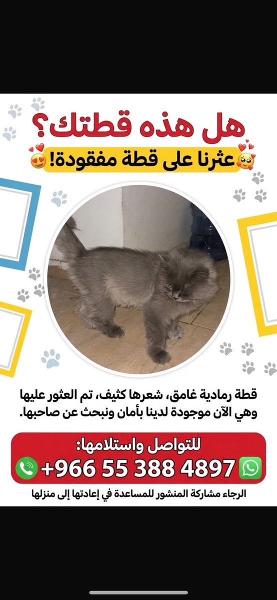 Animal_rescue0's tweet photo. #انقاذ #قطط #الرياض 
حي الصحافة https://t.co/2nvefsR214