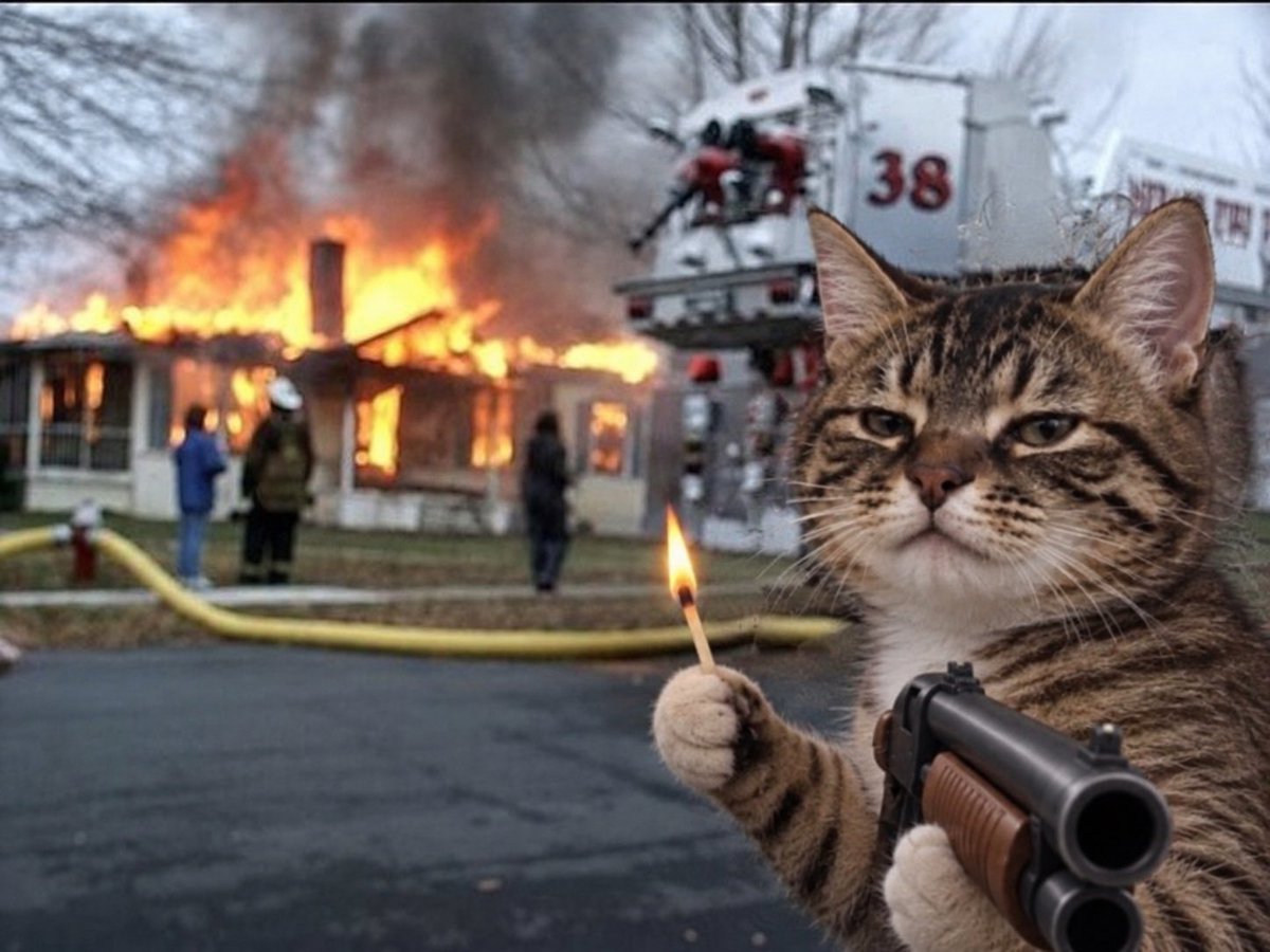 pumpcat2026's tweet photo. $PUMPCAT is a trained jeet assassin https://t.co/kMCmXw3j2r