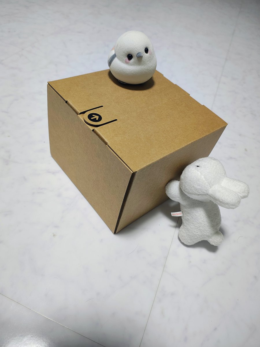 msatosf's tweet photo. 買っちった！
M6 Mac mini！ https://t.co/BFzndfl5CO