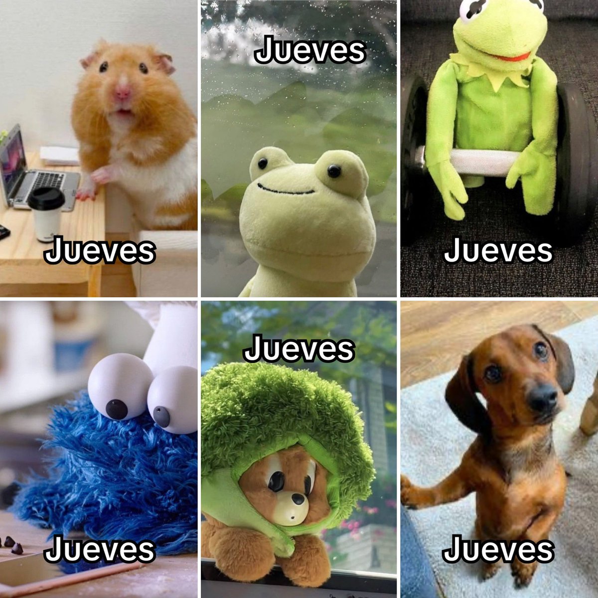 Guarromantico_'s tweet photo. Jueves. https://t.co/Jre5Z5xf0R