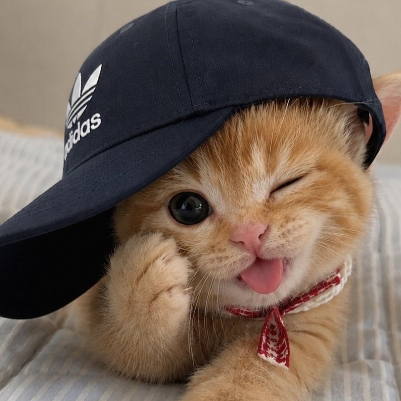 big_win77312's tweet photo. Oyeng gives 7 USD to one winner, within 24 hours.

Follow, RT and Like.
---------------------

~ Stay motivated even without encouragement https://t.co/vaLHk5fAB0