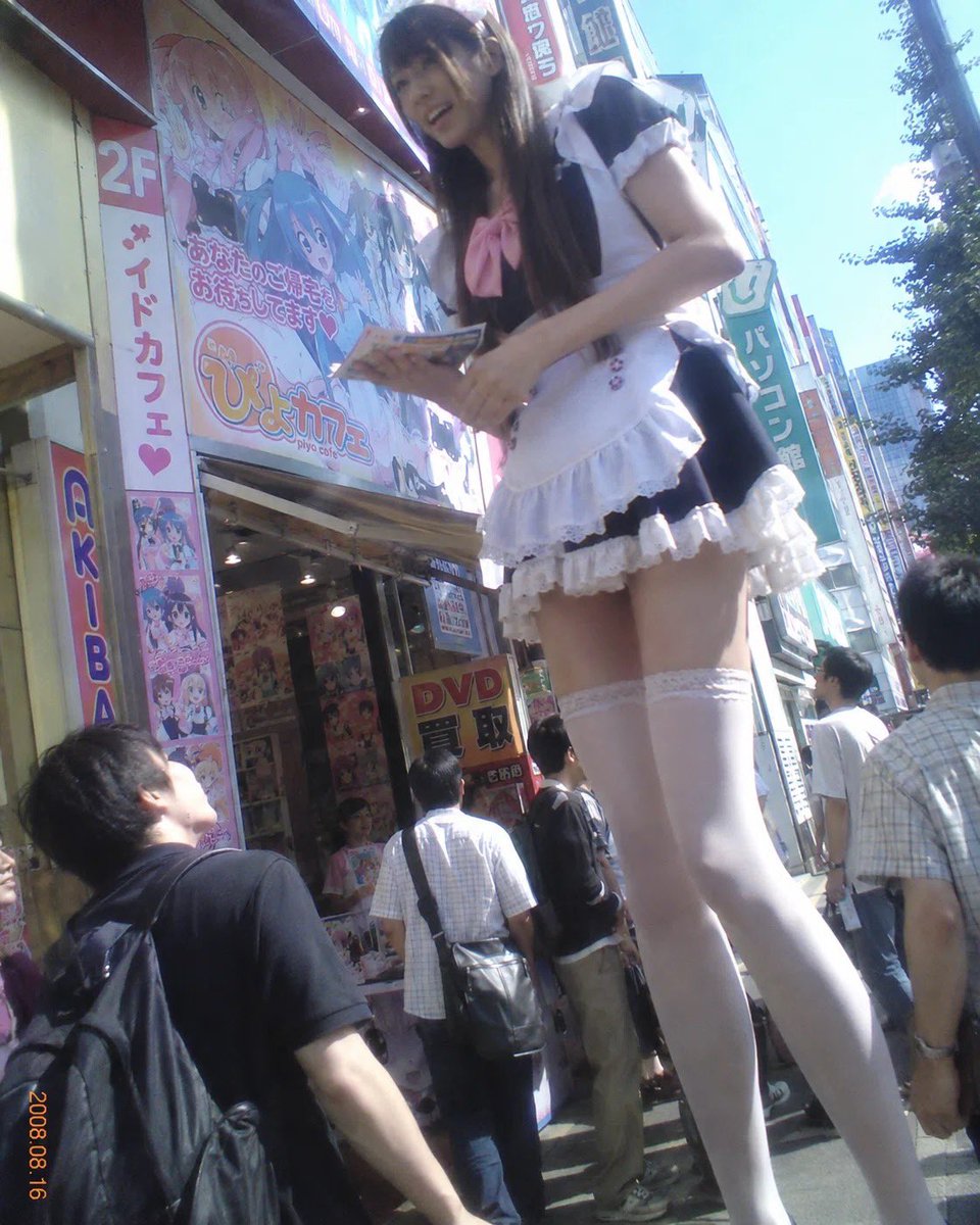 9tkjdD5Hjo87853's tweet photo. 秋葉原のメイド

#巨大女性 #身長差 #minigiantess #高身長女子 #長身女子 #tallgirl #sizetwitter https://t.co/wF2xgDo6Ad