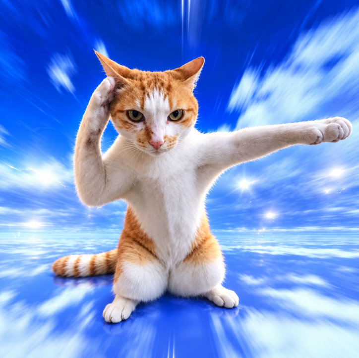 thekaratecatsol's tweet photo. Meet the Karate Cat  

- 2 BILLION+ views in the last 5 days across all platforms
- Multiple viral videos, multiple trending pages.
- Never ran on ANY PLATFORM

We are in cat season and this is the ultimate cat meme.

Website: https://t.co/dnP25esNOz

CA: MboMMGXjGDi45hfjCVzYru32kEM5nw7VzCqCofZpump  

Posts and trending pages:  

https://t.co/AaApz59Y4E
https://t.co/QiVYRn6YKm
https://t.co/krIizcaHyj
https://t.co/342PhtxEYu
https://t.co/hNQTMwq8xA
https://t.co/fRBfY2MhZo
https://t.co/yyZ5T1IkyS

Some of the most viral videos about karate cat have been posted by none other than this account! 

IT'S CAT SZN.