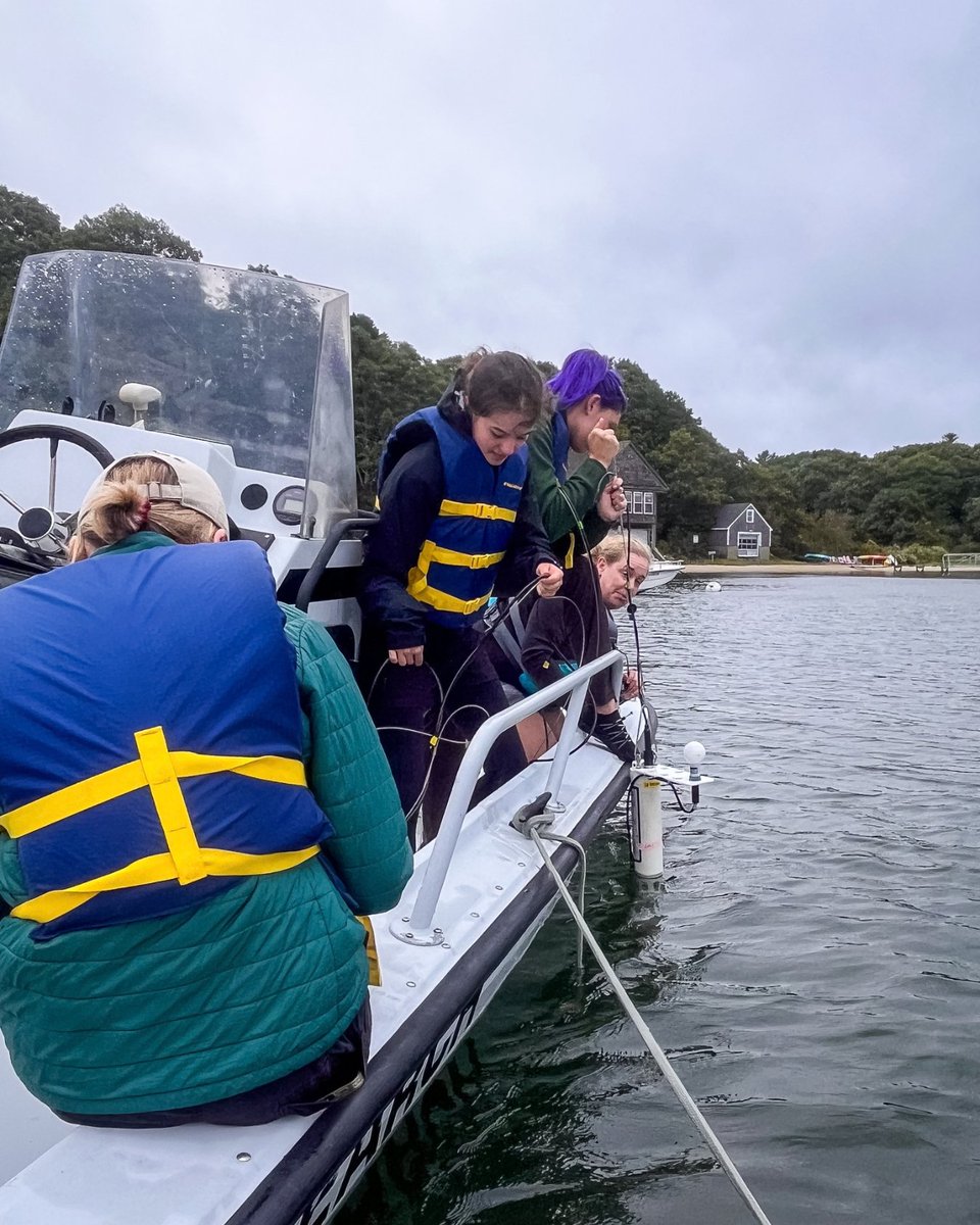 MBLScience's tweet photo. On Monday, undergraduate students in the 2026 Semester in Environmental Science (SES) course sampled water at multiple locations including Waquoit Bay to examine photosynthesis and chlorophyll content. 

🌊 The goal: to compare marine and freshwater systems to glean insights https://t.co/GakPHayrmB