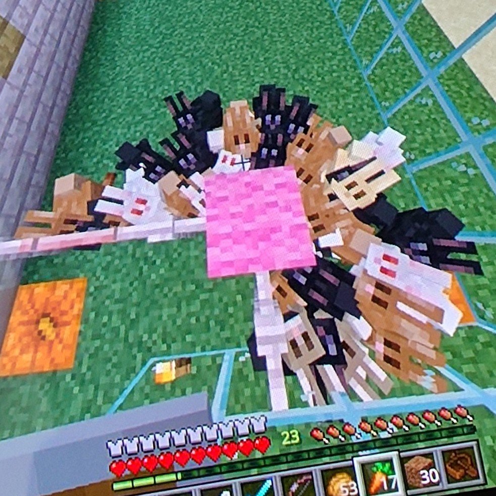 mocchii19's tweet photo. マイクラとうとう見つけた砂漠！
そしてうさぎ！！全色コンプです！！
ベージュもいいねー♡
大変モフそうでよろしい
マイメロうさ小屋で暮らしていますw
そして左に黒いの見切れとるぞww
近くに赤い砂もあったしーラクダもおっ持ち帰りぃ♪しよ
あっという間の土日やね楽しみ https://t.co/e8tjBjIhTH