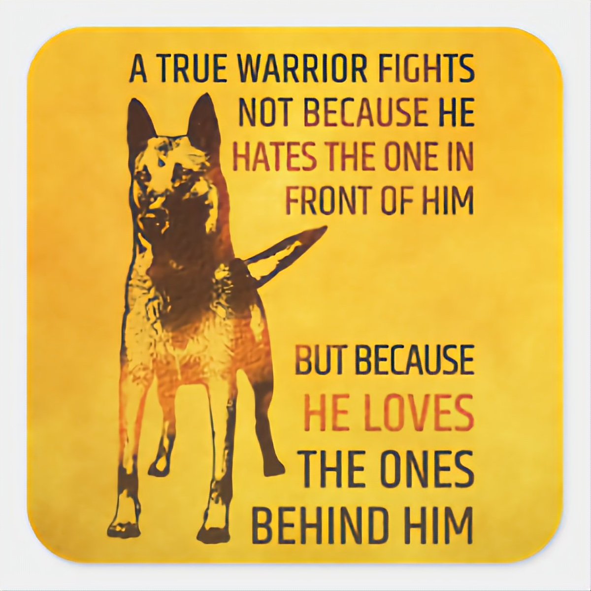 LoanaBuchanan_'s tweet photo. https://t.co/TofvNoe06v
@LindaJoness4og
@pirate_wings
@wings_pirate
OUTRAGEOUS‼️
THE PRESIDENTIAL DOG MAJOR
FACES DEATH OVER ONE BITE
#saveMajor ,@PITUS @realDonaldTrump
No other President 's Dogs got killed over one bite
#DogsAreFamily
IF YOU NEVER HAD ONE,YOU DON'T GET IT https://t.co/OCd77NGgk9