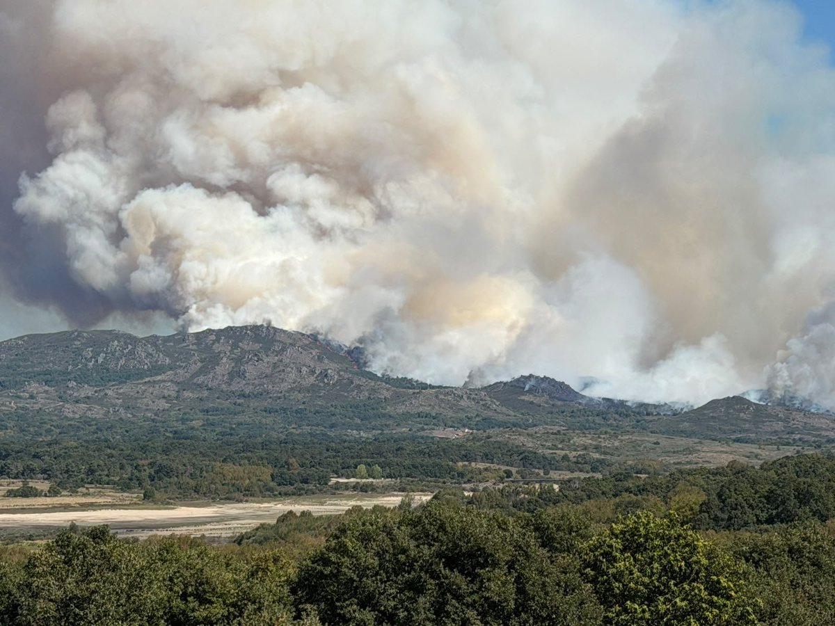 AT_Brif's tweet photo. @BrifLaza @briftabuyo @mitecogob 15:45🎥#IFCalvosDeRandin #Ourense 

También activada la brigada TED de @BrifLaza a las 16:10 en base para sumarse a labores de extinción junto a brigada TP y @briftabuyo 

Somos #BRIF de @mitecogob https://t.co/Sw24g0RpXU