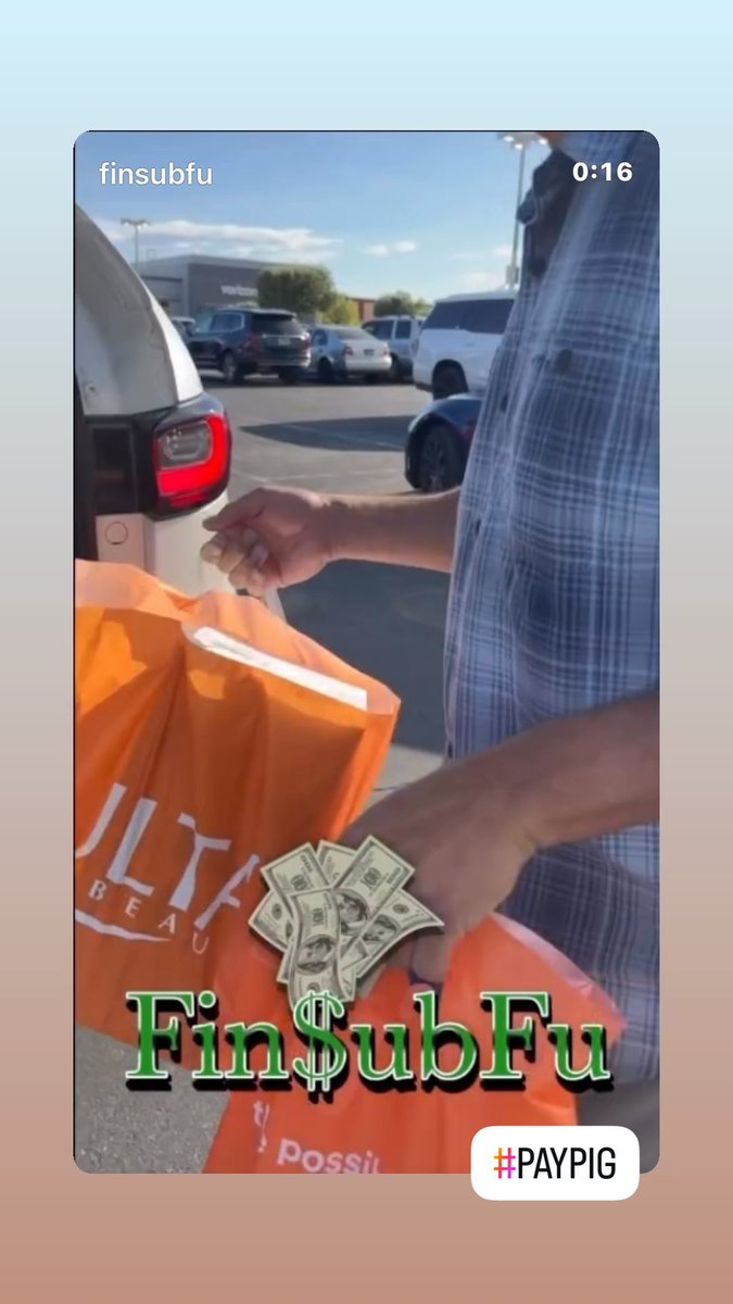 A person in a plaid shirt holds orange shopping bags from a store, with the text 'Fin$ubFu' and a hashtag '#PAYPIG' overlaid on the image.