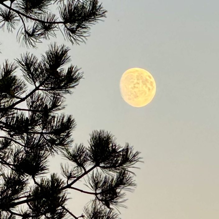 BryanMarquard's tweet photo. The autumnal full harvest moon is a couple of days away. Here's last night's moon at 6:40 and 6:53 p.m. #moon #harvestmoon https://t.co/TgSeQrRoHO