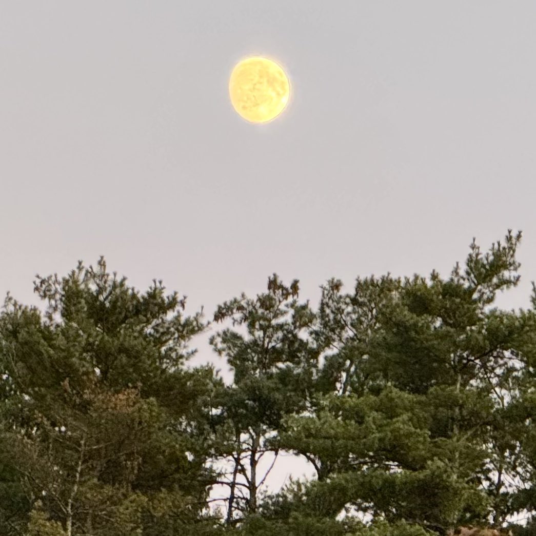 BryanMarquard's tweet photo. The autumnal full harvest moon is a couple of days away. Here's last night's moon at 6:40 and 6:53 p.m. #moon #harvestmoon https://t.co/TgSeQrRoHO