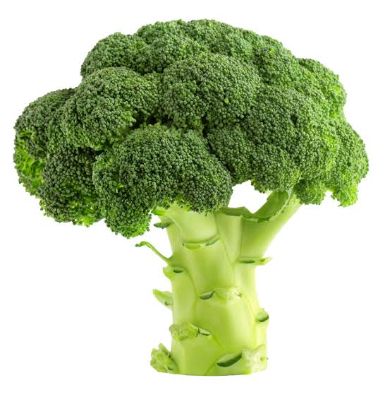 RepuChile's tweet photo. my guy you don't even draw get ratio'd by a broccoli https://t.co/kyWQ3dt0La
