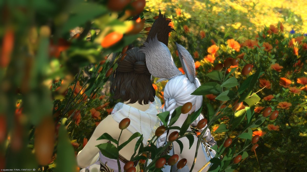 FF14_74's tweet photo. 今日はいつものフレさんと
ルレ回ってSS沢山撮ってきた📸

楽しすぎて3時間もVC繋いでた感覚なくて
あっという間だったありがとう😌
#FF14初心者 https://t.co/BKc2JdCRD8