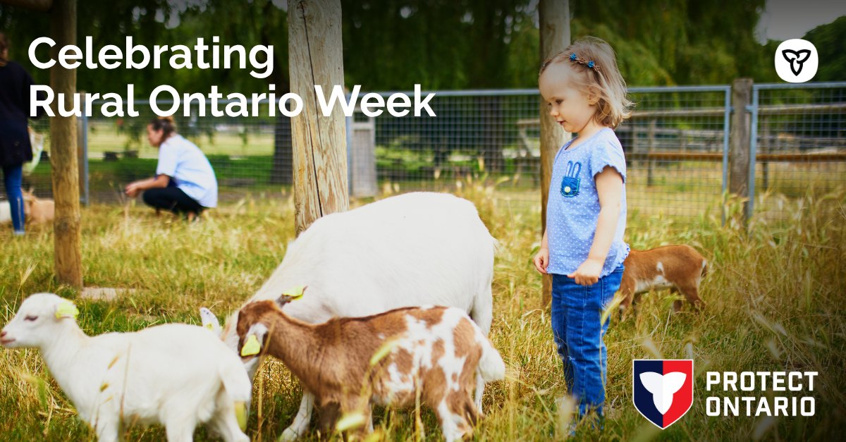 erniehardeman's tweet photo. Help celebrate Rural Ontario Week!
Discover local attractions, trails, parks and traditions close to home.
Visit the towns and villages in #Oxford and experience all that rural Ontario has to offer.
#ONRuralWeek https://t.co/HBhaQE6Sm3