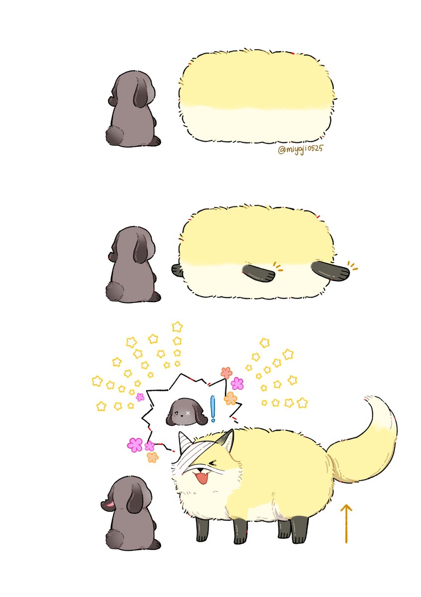 miyaji0525's tweet photo. Fox ball https://t.co/csz62SXf20