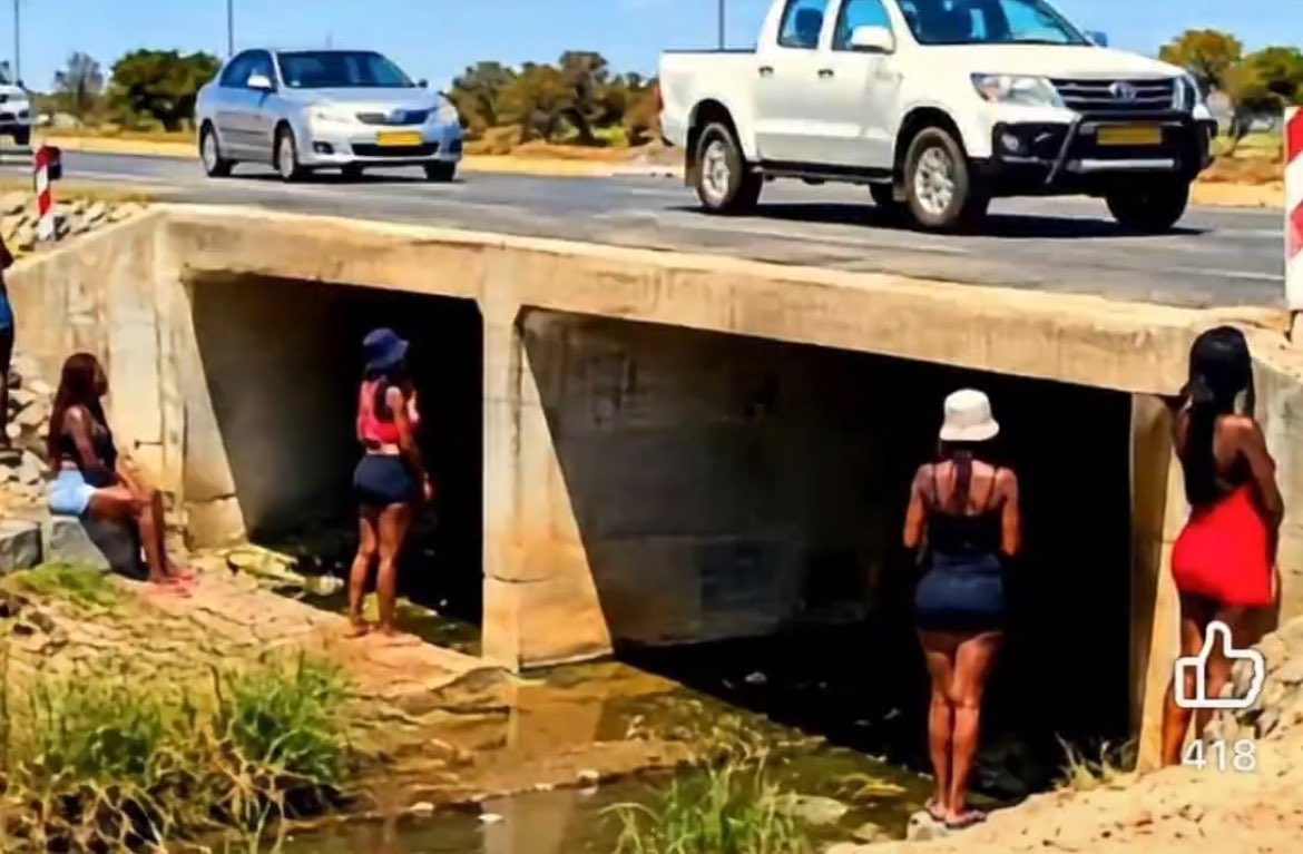 FrednardLebbo's tweet photo. What’s under the bridge? https://t.co/2EpXAyLN7M