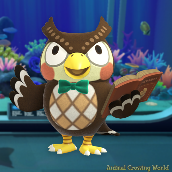 ACWorldBlog's tweet photo. Happy Birthday to Blathers! 🎉🦉 https://t.co/97pO6q6ZE2