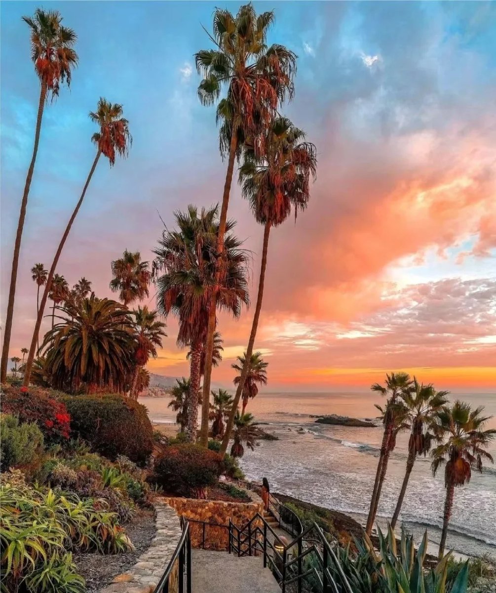 ElenaWhitm51's tweet photo. California has a way of making you stop and breathe. 🌊☀️ The endless Pacific, salty air, golden light, and that feeling that nothing needs to be rushed. Some places are beautiful… but this coast feels like a whole mood. ❤️🌴 #California #CaliforniaCoast #PacificOcean #WestCoast https://t.co/71sllrb9jJ