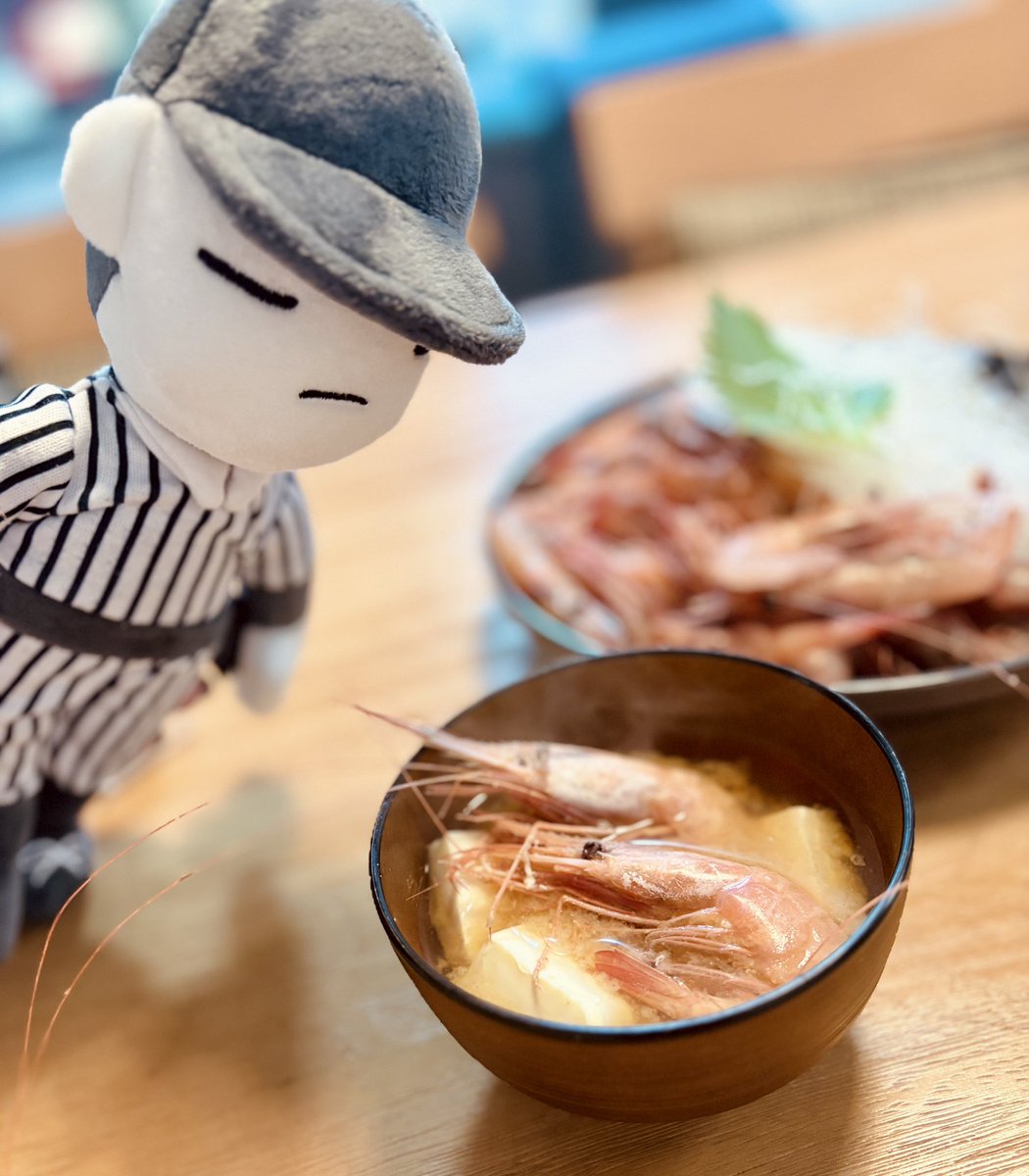 mmonmo18's tweet photo. これでもかというくらいの大量のエビに囲まれた幸せな晩ごはんでした…美味しかった…🦐🦐

 #ぬい撮り
 #エビ https://t.co/GMFFxqCSNM