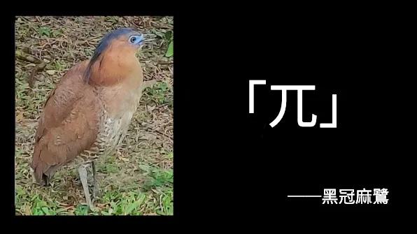 Baijing112's tweet photo. 兀! https://t.co/HHKyTJxAok