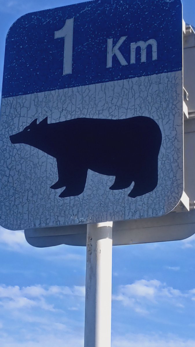 traveler_panda's tweet photo. えりものステキな景色。🐻
#北海道 #えりも町 #えりも町のキッチンカー #日本ケモノ観光組合 #Hokkaido #Erimo #KicheninErimo #JSoFA https://t.co/z4bd41nTH6