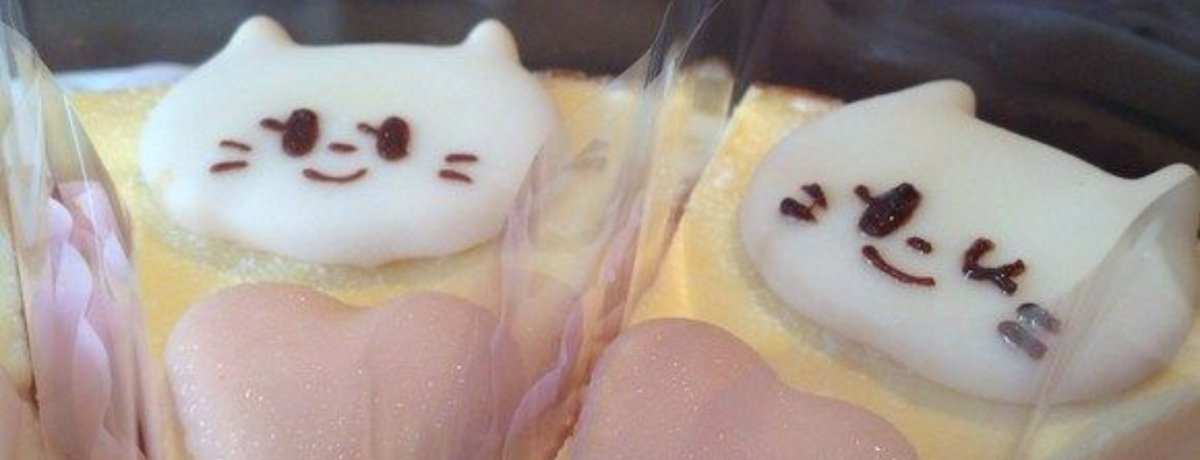 rottencheesecak's tweet photo. ꒰⁠ intro   ⁦#edtwt #edrtwt #tatwt #shedtwt #shtwt ꒱⁠˖⁠♡

         ::  ʚ cakey  :¨·.·¨:   20 ⊹ 
         𓈄 𓈒 she/it ｡ᘏ⑅ᘏ ｡ 166cm 🍰
   
𓏵⠀.  cw: 90.2 kg 
𓏵⠀.  gw: 60 kg 
𓏵⠀.  ugw: 40 kg 

★  ⁦dni  —»  normies // -17 

       ♡ ノ ↺ to moots ¡! https://t.co/vzQ9quLMqv