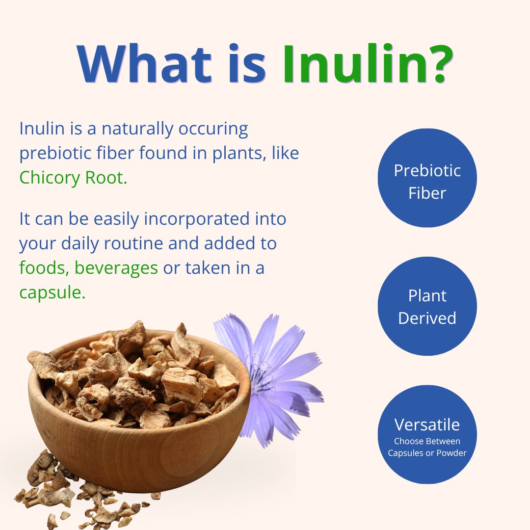 PureBulk's tweet photo. 🌱 Let’s talk prebiotics!

Prebiotics are a type of fiber that help nourish beneficial bacteria in your gut, making them an important part of a healthy, balanced routine.

Inulin, a plant-based prebiotic fiber derived from chicory root, is an easy way to add prebiotic fiber to your day.

It may help support:
🦠 A healthy gut microbiome
🌱 Digestive regularity & comfort
🦴 Calcium absorption
💚 Overall wellness

Small additions to your daily routine can make a difference. Learn more about Inulin at https://t.co/DUhGWNQyLH.

#purebulk #Inulin #supplements #prebiotics