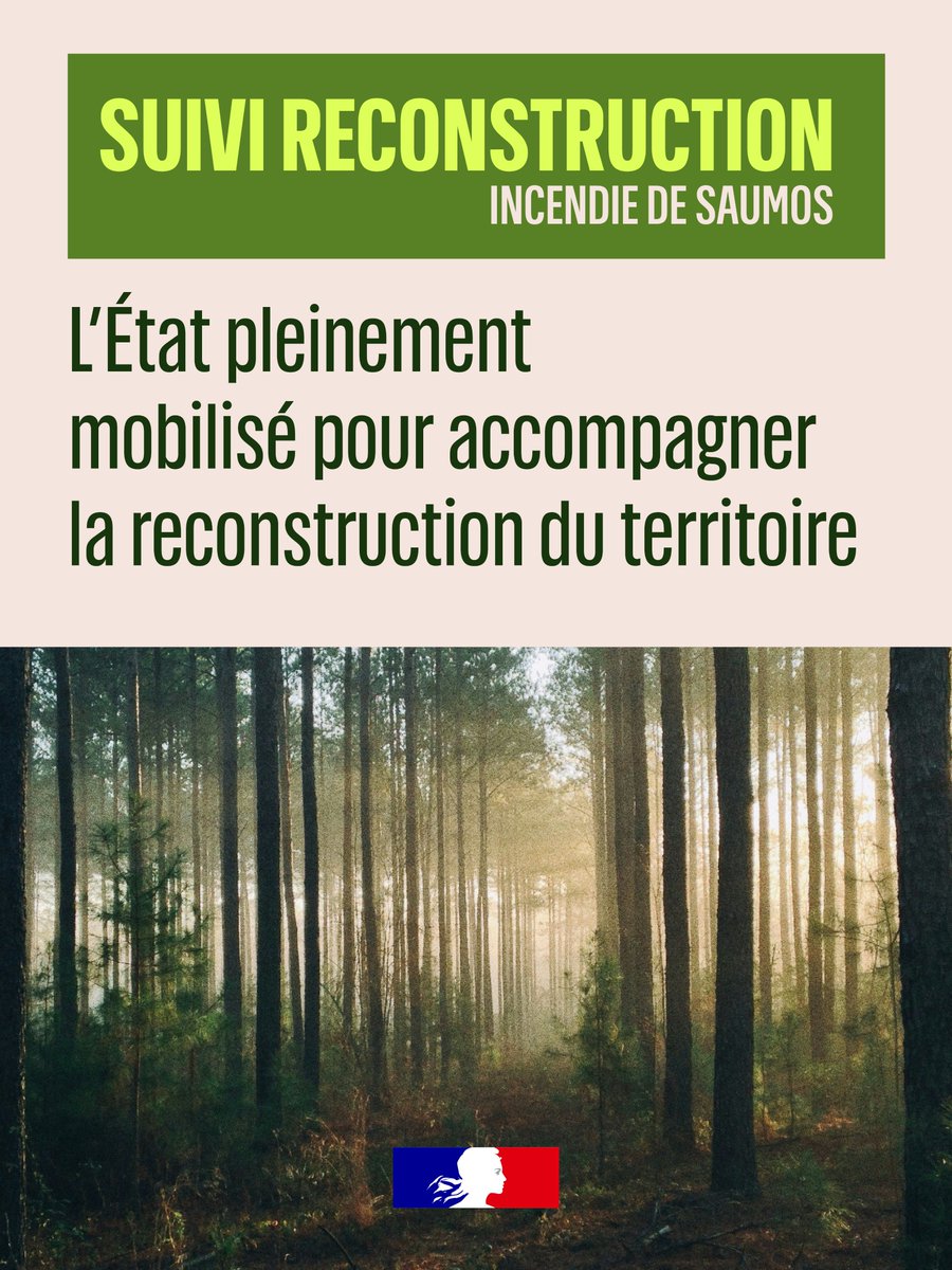 Image de Préfète de la Nouvelle-Aquitaine et de la Gironde - #SuiviReconstruction 🌳🏡 | Les services de l’État ont souhaité apporter une réponse adaptées aux be