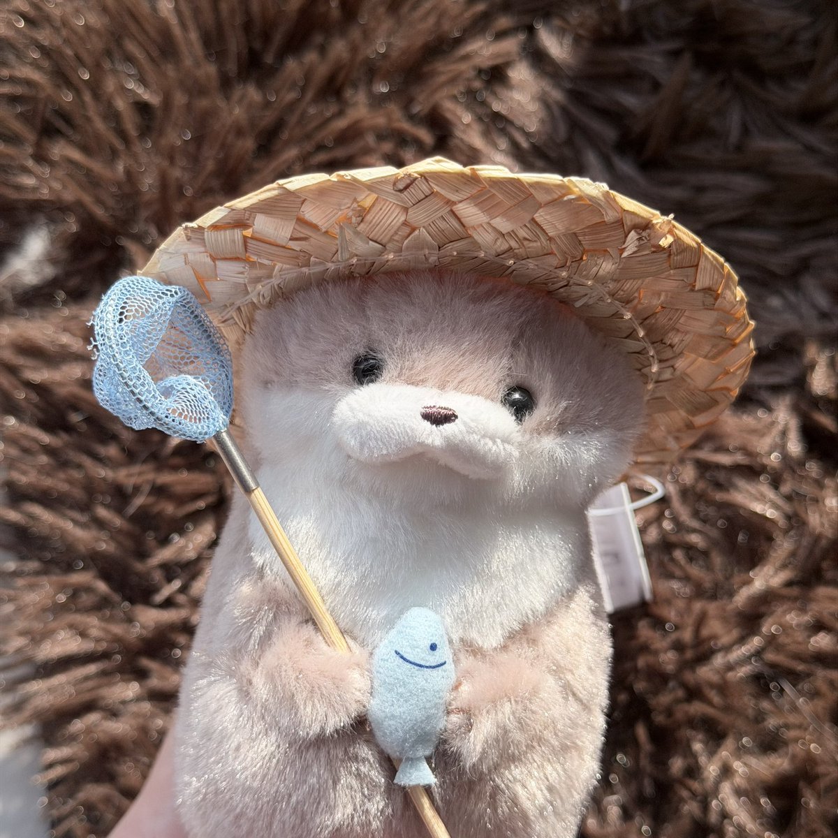 ug12309's tweet photo. 🥺 https://t.co/rLwUEK31sW
