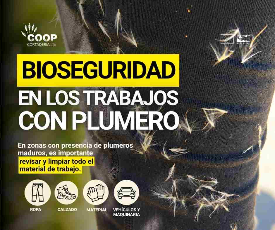 stopcortaderia's tweet photo. 👀Cuando trabajamos en zonas con presencia de Cortaderia, la bioseguridad es una parte fundamental de la intervención.

👉Prevenir su dispersión forma parte de nuestro trabajo.
.
#LIFEprogramme #LIFEproject #LIFEprojects https://t.co/5fpVuj4EIJ