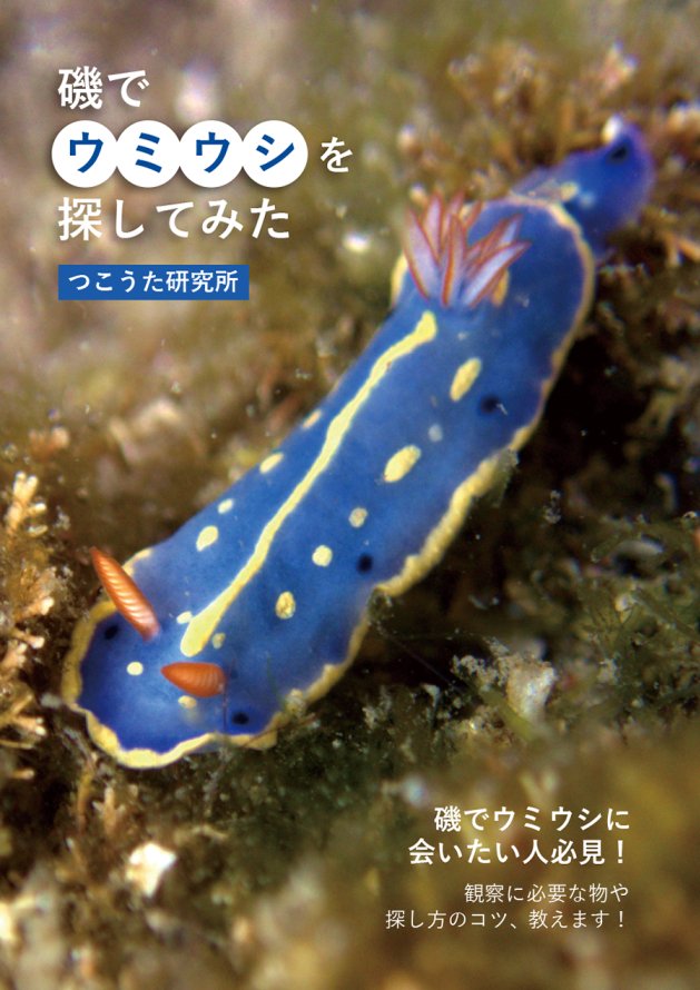 tsukouta_lab's tweet photo. 10月18日（日）に京都で開催されるいきもにあで頒布するウミウシ本とグッズを入稿しました！
本はフルカラー40pで1000円、グッズは1回200円のガチャガチャになりま���。
ちっちゃいもの倶楽部さん（@chicchaimono123）と共同で出展させていただきますので当日はよろしくお願いします！

#いきもにあ2026 https://t.co/6YQuX5MEzU