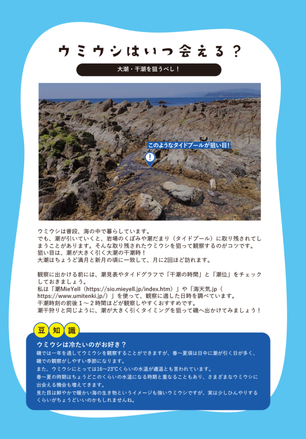 tsukouta_lab's tweet photo. 10月18日（日）に京都で開催されるいきもにあで頒布するウミウシ本とグッズを入稿しました！
本はフルカラー40pで1000円、グッズは1回200円のガチャガチャになりま���。
ちっちゃいもの倶楽部さん（@chicchaimono123）と共同で出展させていただきますので当日はよろしくお願いします！

#いきもにあ2026 https://t.co/6YQuX5MEzU
