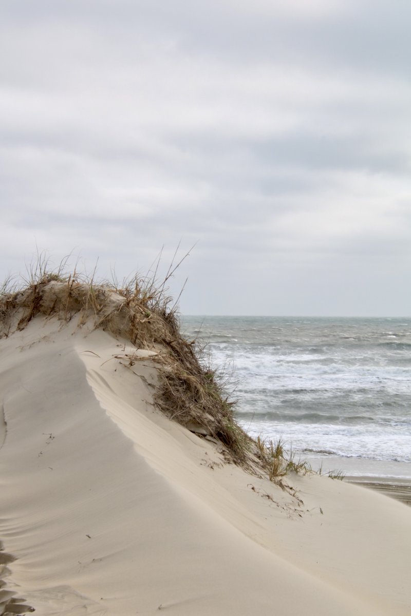 thenorthernobx's tweet photo. A rainy day isn't gloomy, it's a gentle reminder to find joy in the quiet...#northernobx #corollanc #visitnc https://t.co/ywNyTHa9ep