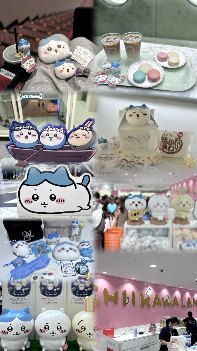 zxllhp's tweet photo. ハチワレもすき（՞>⩊<՞） https://t.co/OySvknN3wO