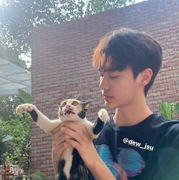 riradae's tweet photo. แล้วน้องดิวอะรักแมวมาก แต่แมวไม่เคยรักนางเลย 5555555555555555 https://t.co/FOVUZcbCxl