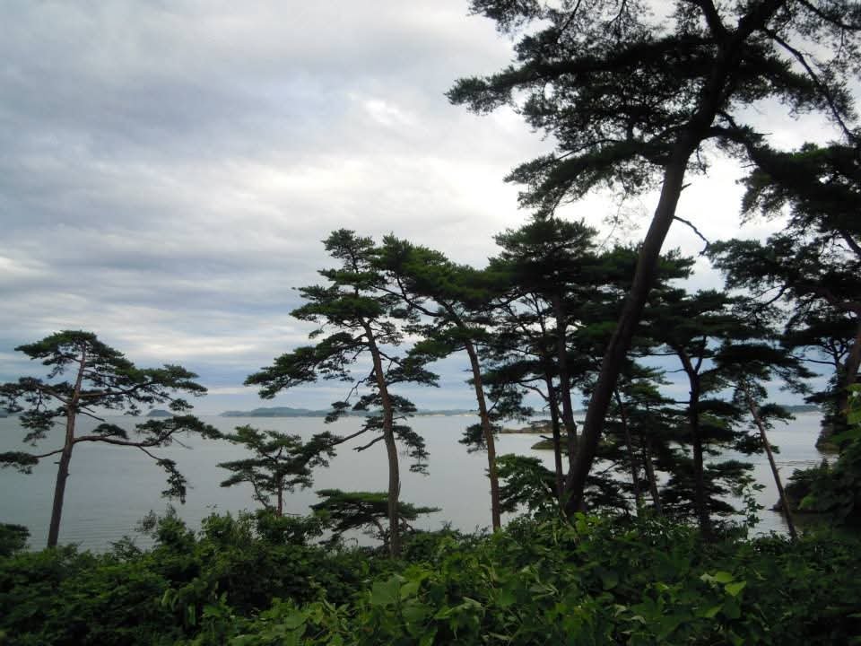mido_u13's tweet photo. 振り返りお出掛け記録
宮城県 松島

松島の景色
1日ずっとどんよりで雨降ったりもしたけれど、少しの間日が差して晴れ間が見えて綺麗だった https://t.co/f2DVMZzOwA