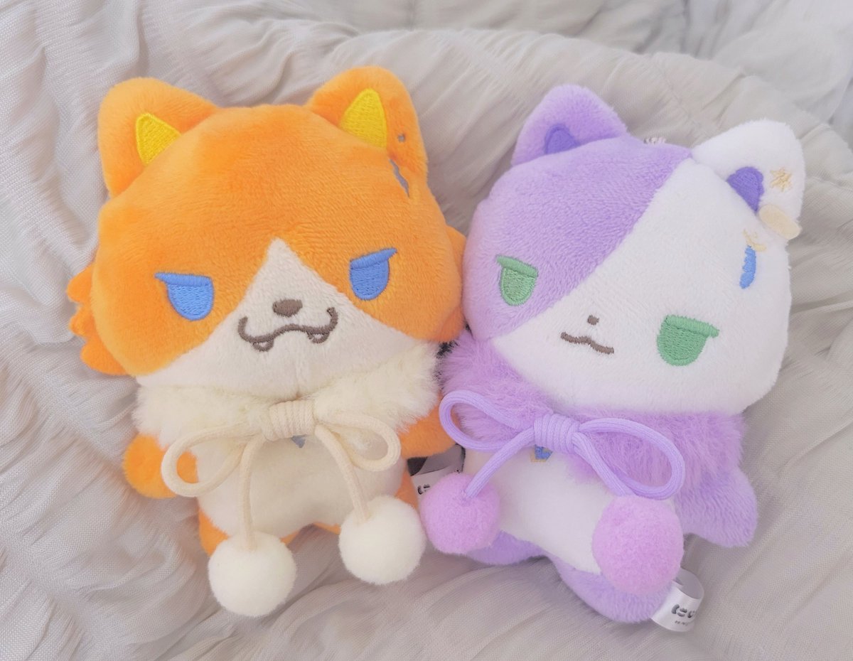 okayu___o's tweet photo. うちのたうんも冬毛デビュー꒰꒰◍•᎑•◍꒱꒱もこもこかわいい https://t.co/4jOGwCEkgE