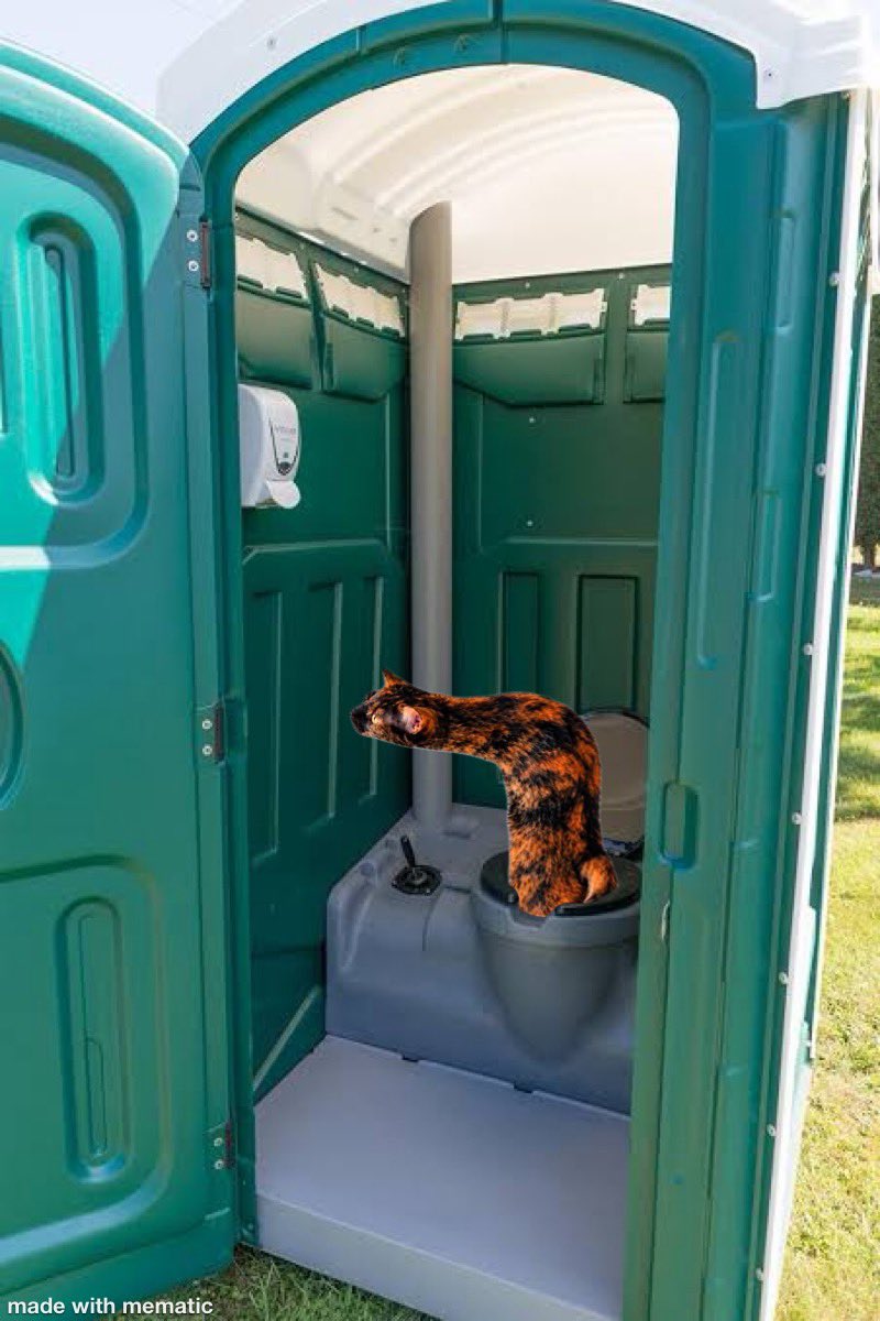 rightanglecat's tweet photo. Anyone got the loo roll 

$rcat https://t.co/QJjpAfTer9