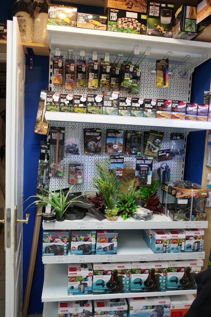 kapalua424's tweet photo. プラハの熱帯魚ショップ
用品系
Oase強いねー
ドイツも強かった
#bucepharandra
#Prague
#aquarium
#tropica
#eheim
#oase https://t.co/I9d0jrHPR0