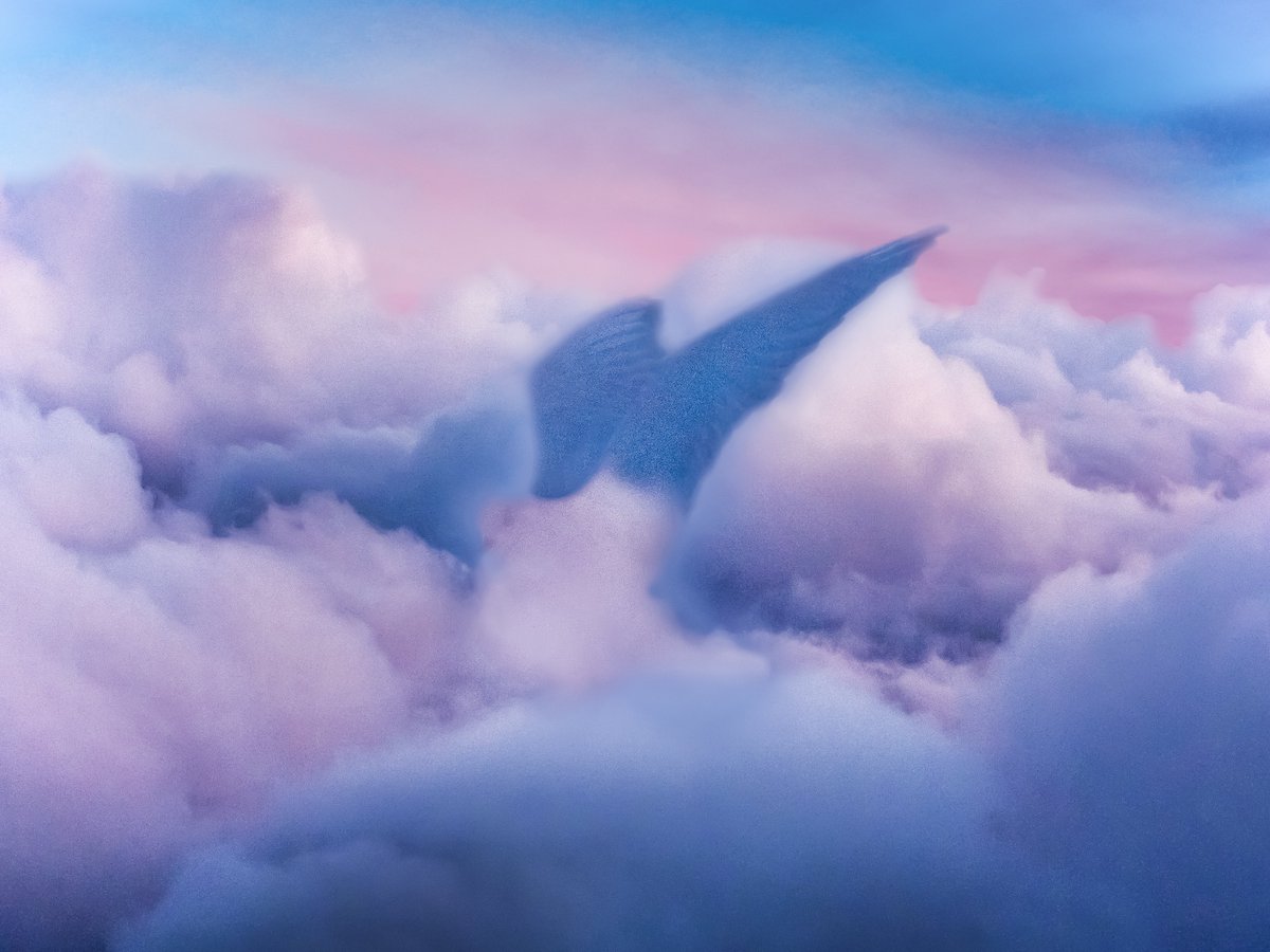 babmedd's tweet photo. Somewhere between heaven and dreams. ☁️
#Freedom #Clouds #Dream #Inspiration #Peace #Sky #Mindset #NewBeginnings https://t.co/JUUk2AnZVB