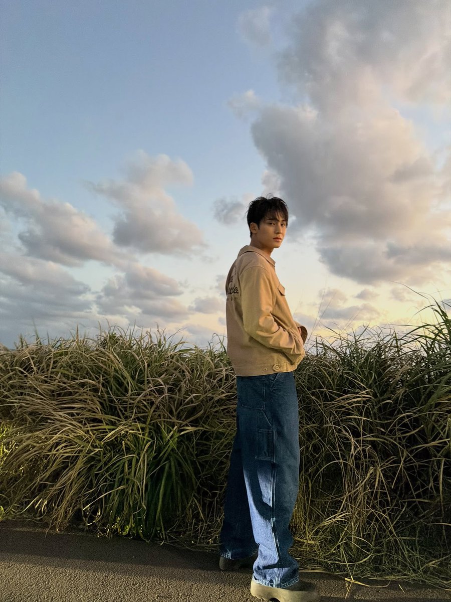 vmingyu tweet picture